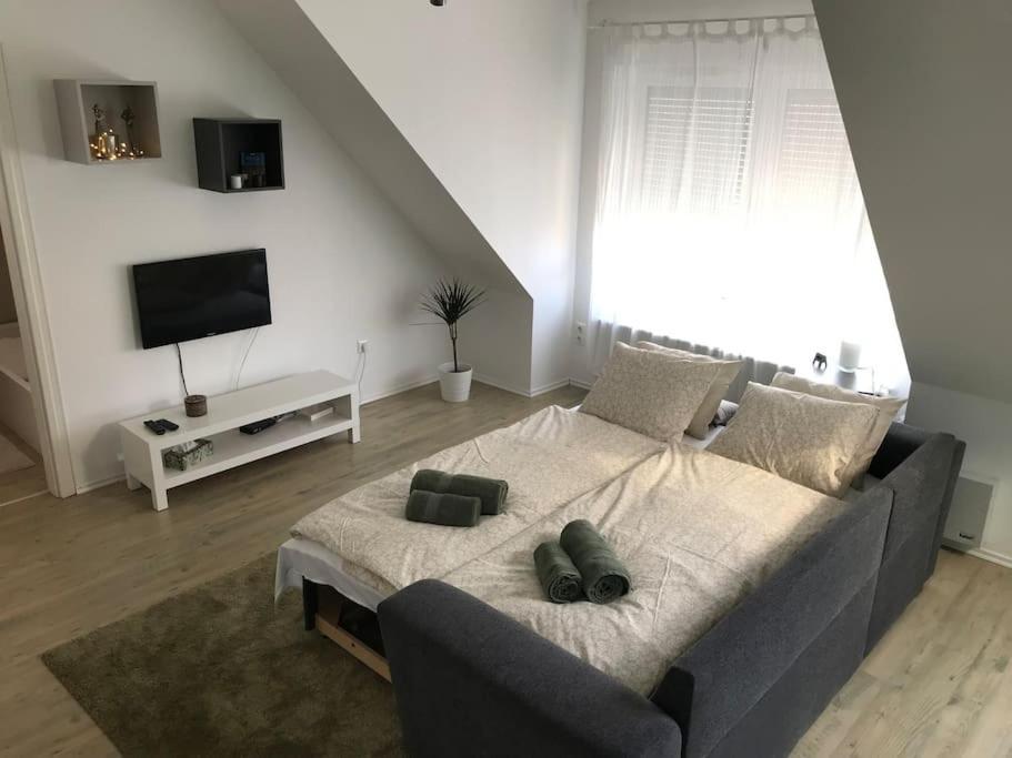 Hangulatos Tarsashazi Apartman Pecs Belvarosaban Luaran gambar